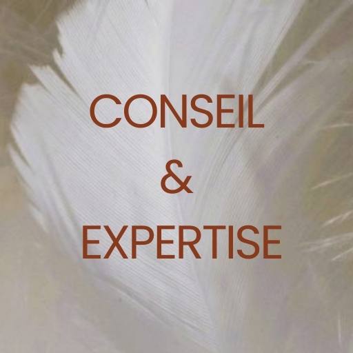 conseil et expertise
